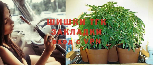 амф Няндома