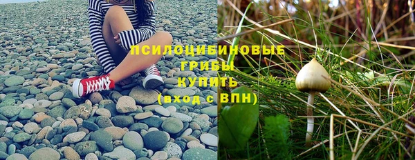 винт Алексеевка