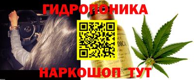 ГАЛЛЮЦИНОГЕННЫЕ ГРИБЫ Пыть-Ях