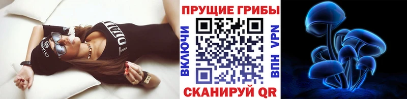Псилоцибиновые грибы Psilocybe  Ачинск 