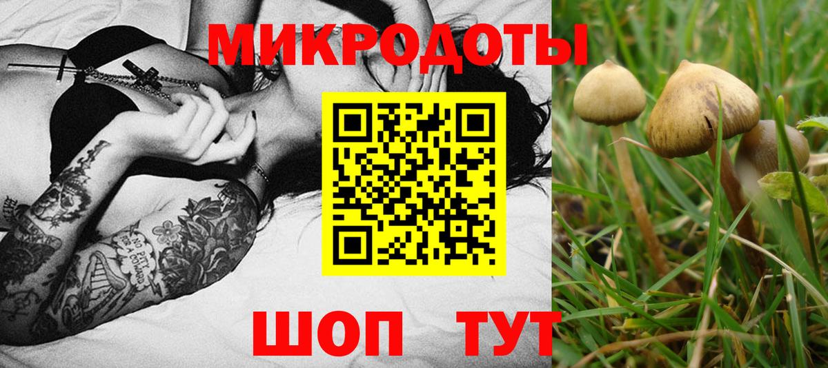 Галлюциногенные грибы Magic Shrooms Ачинск