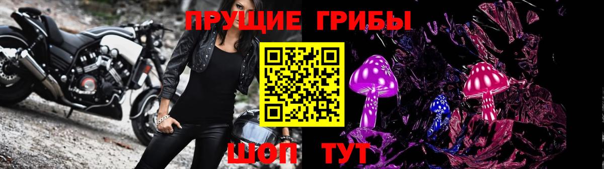 Псилоцибиновые грибы GOLDEN TEACHER  Вход с VPN  Ачинск 